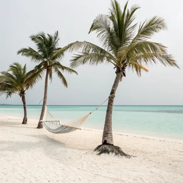 Tropical Paradise Honeymoon